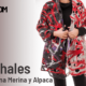 C_Menendez_banner2_chales