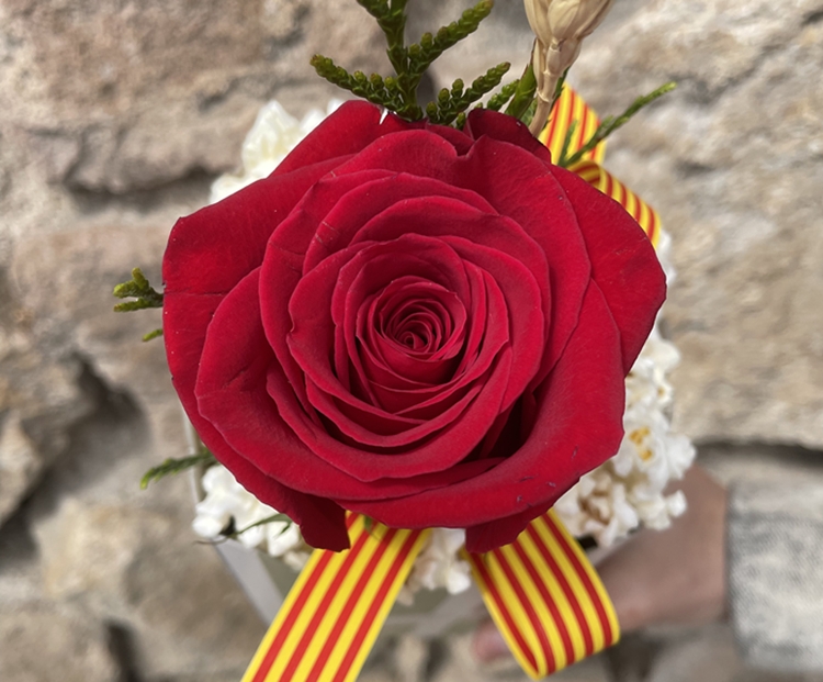 La Pop-Pop Rosa de Conillas Garden Center