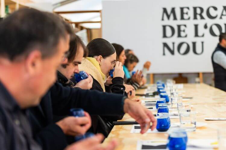 Cata de aceites de nueva temporada Cata de aceites de nueva temporada