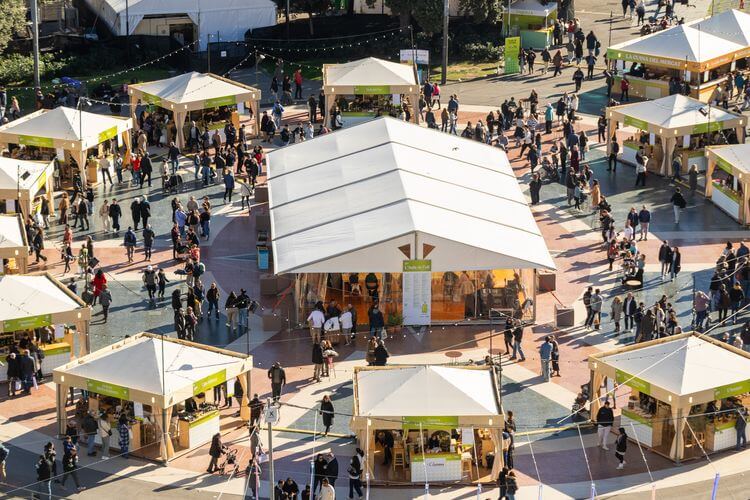 Mercat d´oli nou plaça catalunya Mercat d´oli nou plaça catalunya