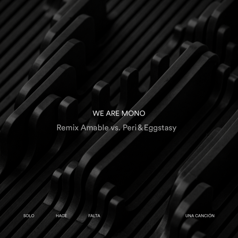 We are Mono remix